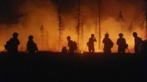 wild fire