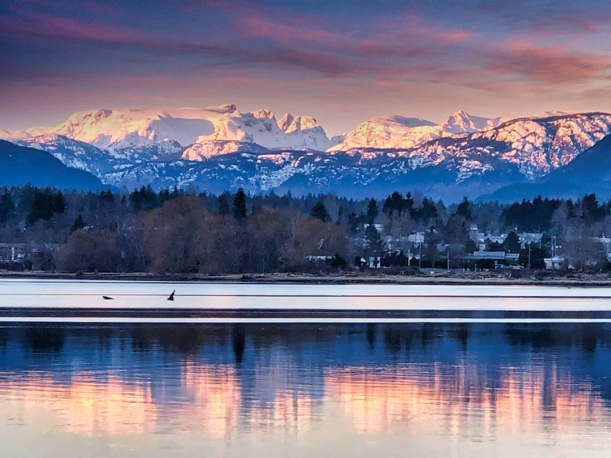 Photo of Comox Glacier taken by Gail Martindale