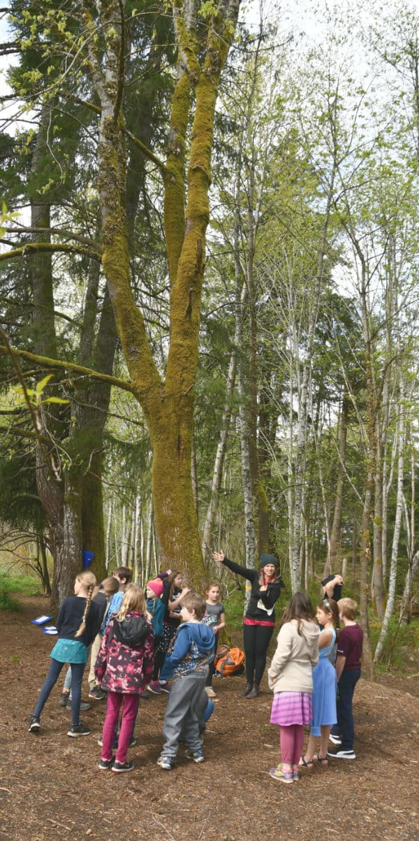 Teacher and students near tree